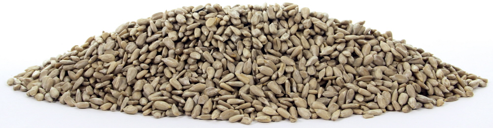 Tijssen Zonnepitten Gepeld