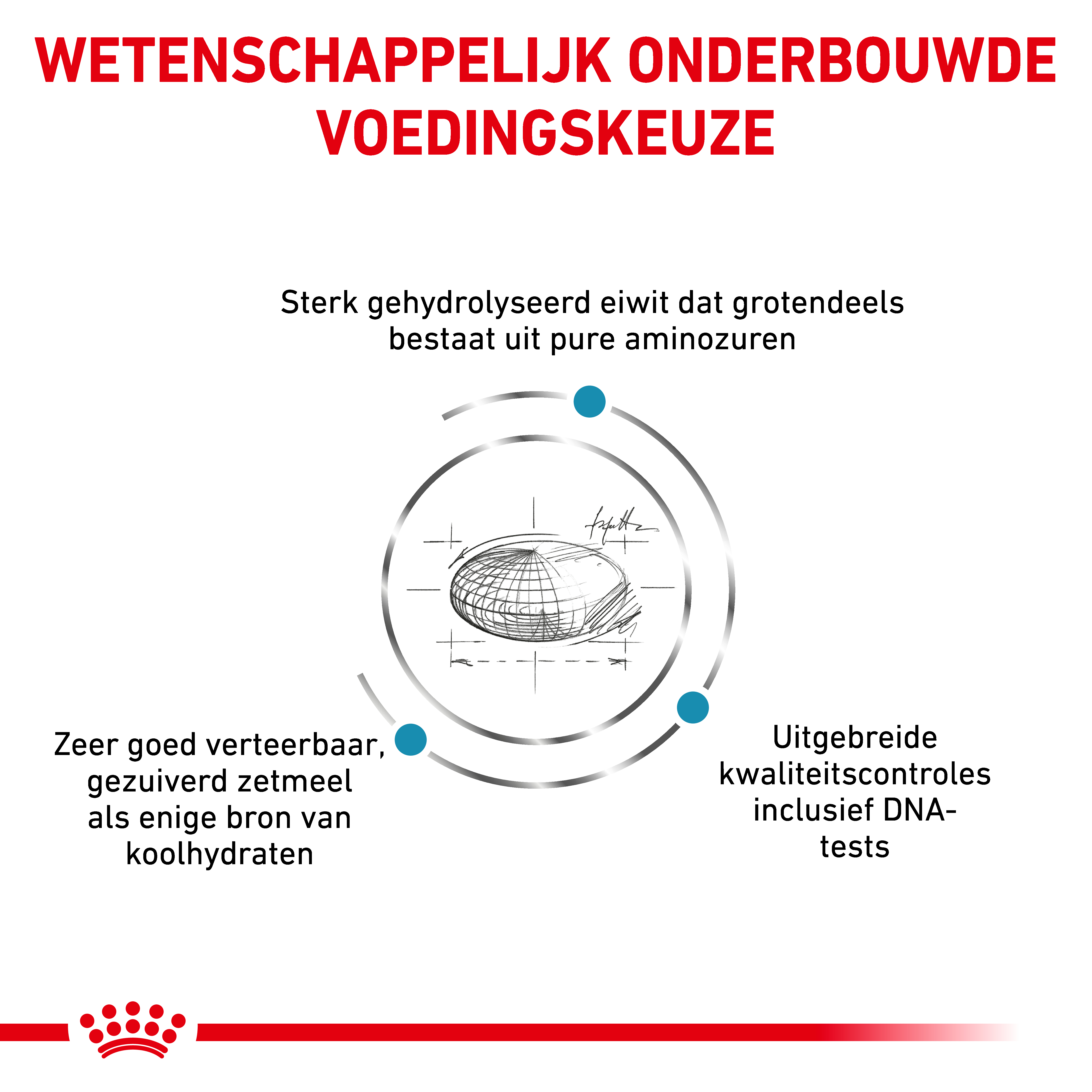 Royal Canin Veterinary Cat Anallergenic