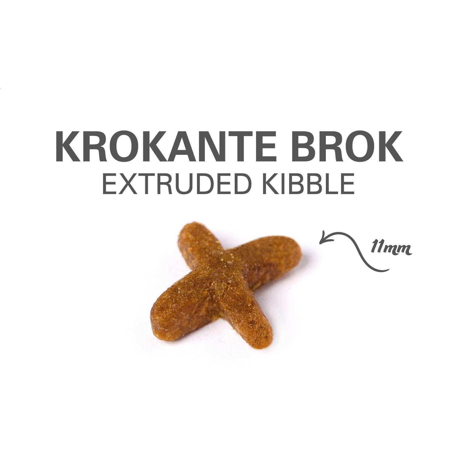  Prins Vitalcare Indoor - Voor Volwassen Binnenkatten