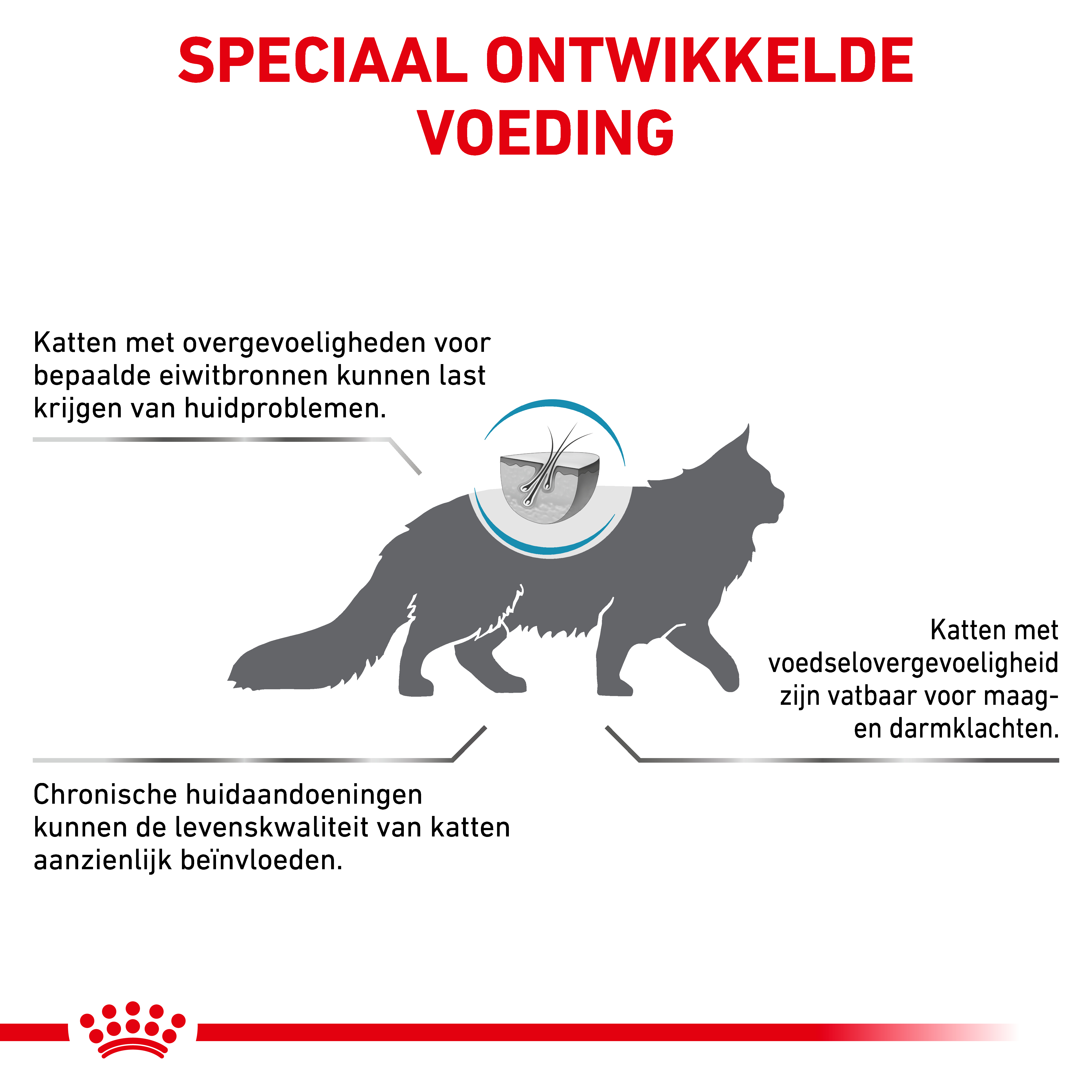 Royal Canin Veterinary Cat Anallergenic
