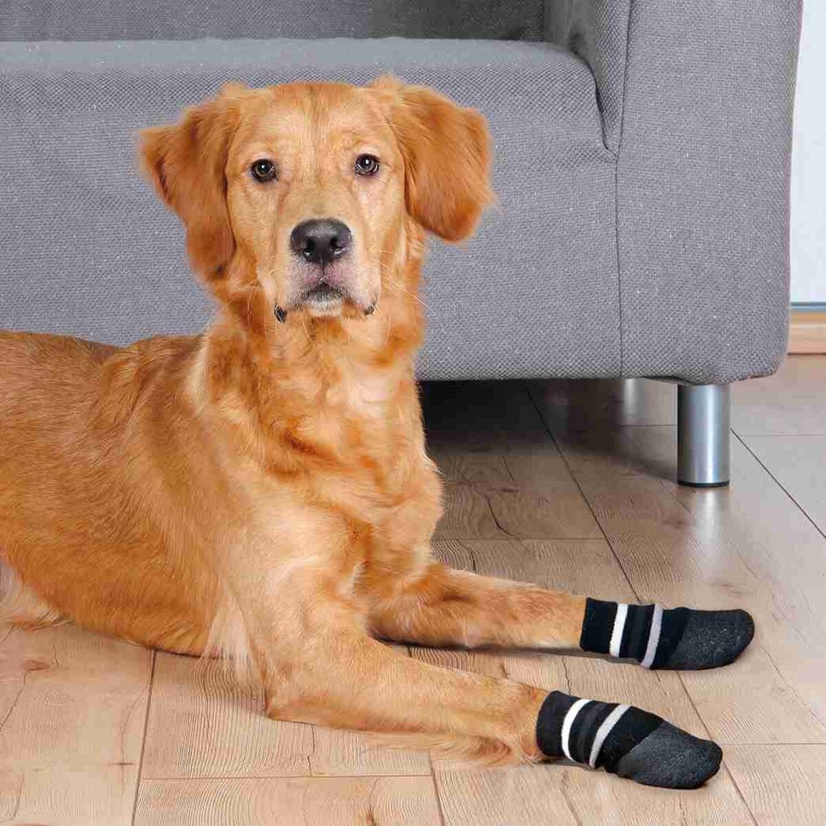 Trixie Hondensokken Anti-Slip (2 stuks)