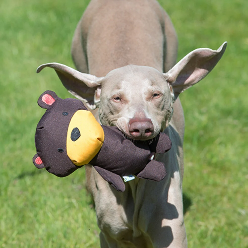 Beco Plush Toy Teddy Medium