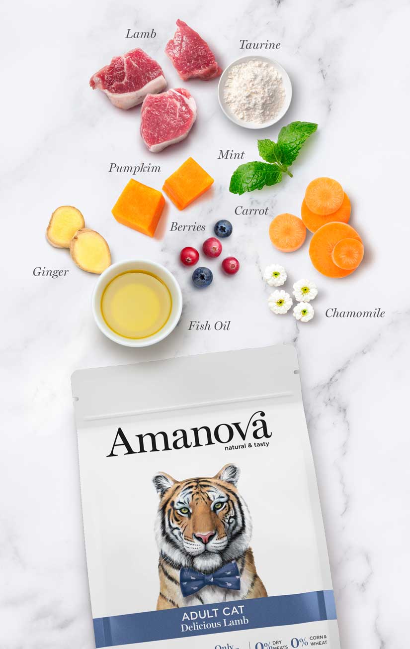 Amanova Adult Cat Delicious Lamb