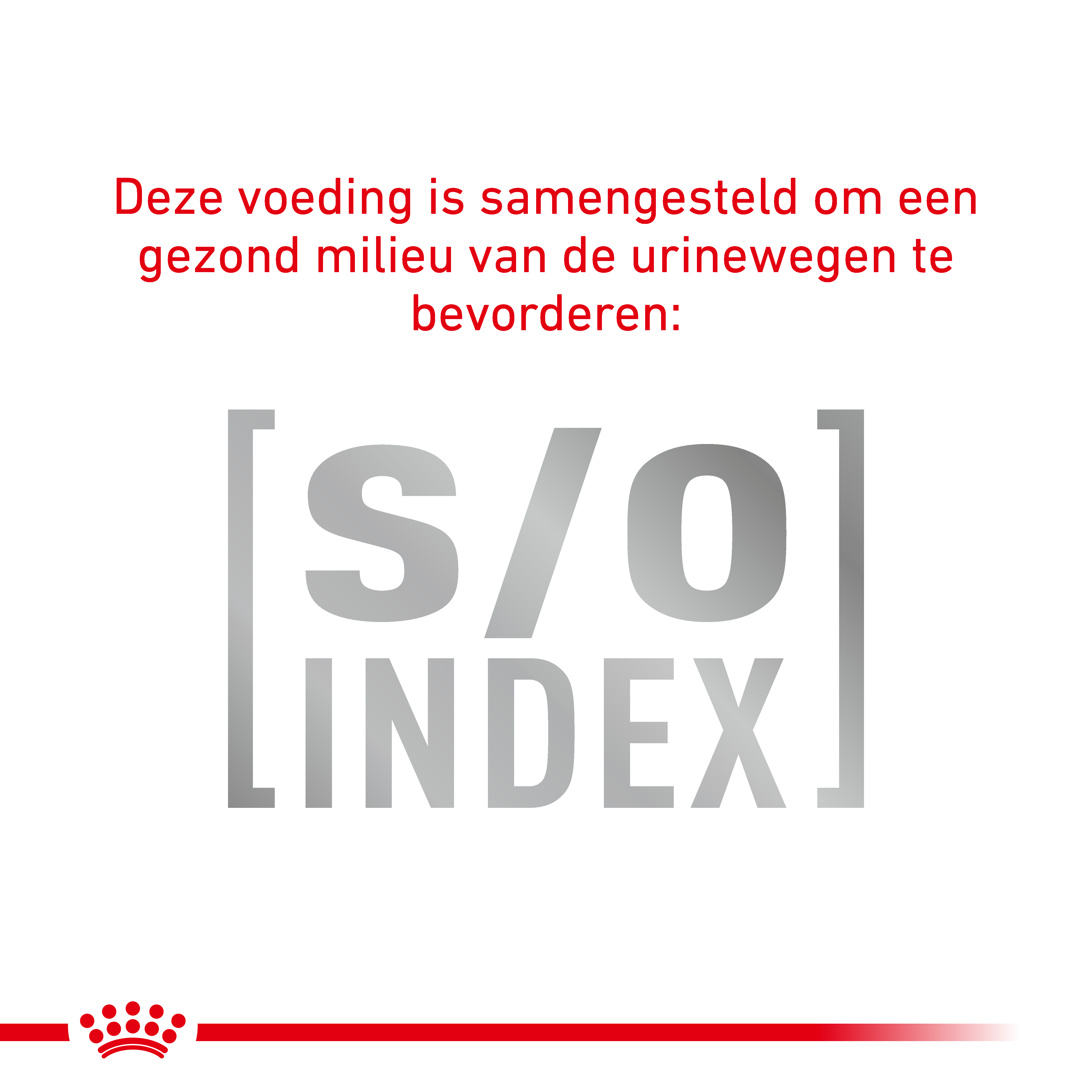 Royal Canin Veterinary Cat Anallergenic
