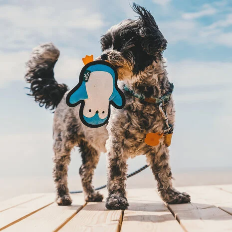 Beco Plush Toy Penguin Small