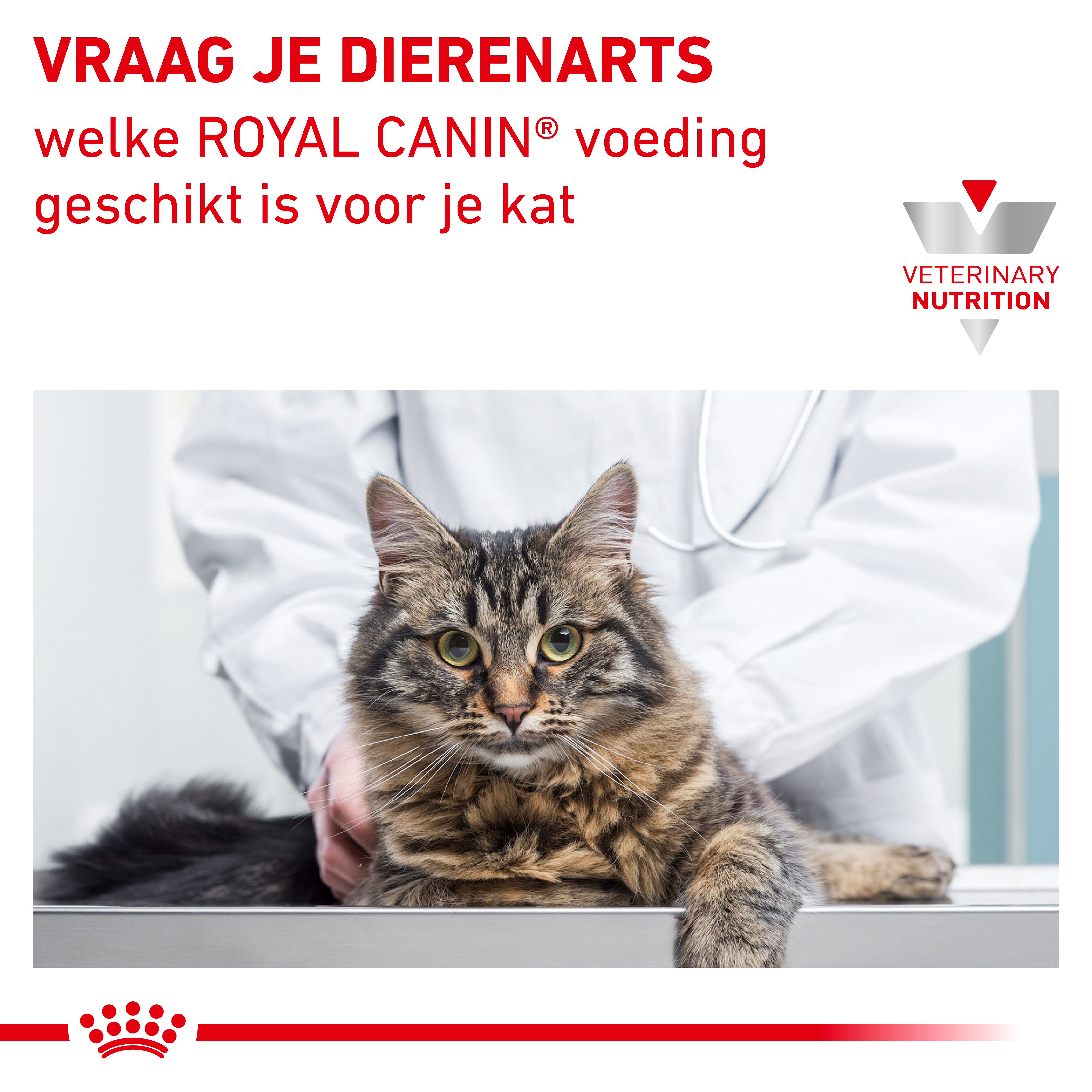 Royal Canin Veterinary Cat Diabetic