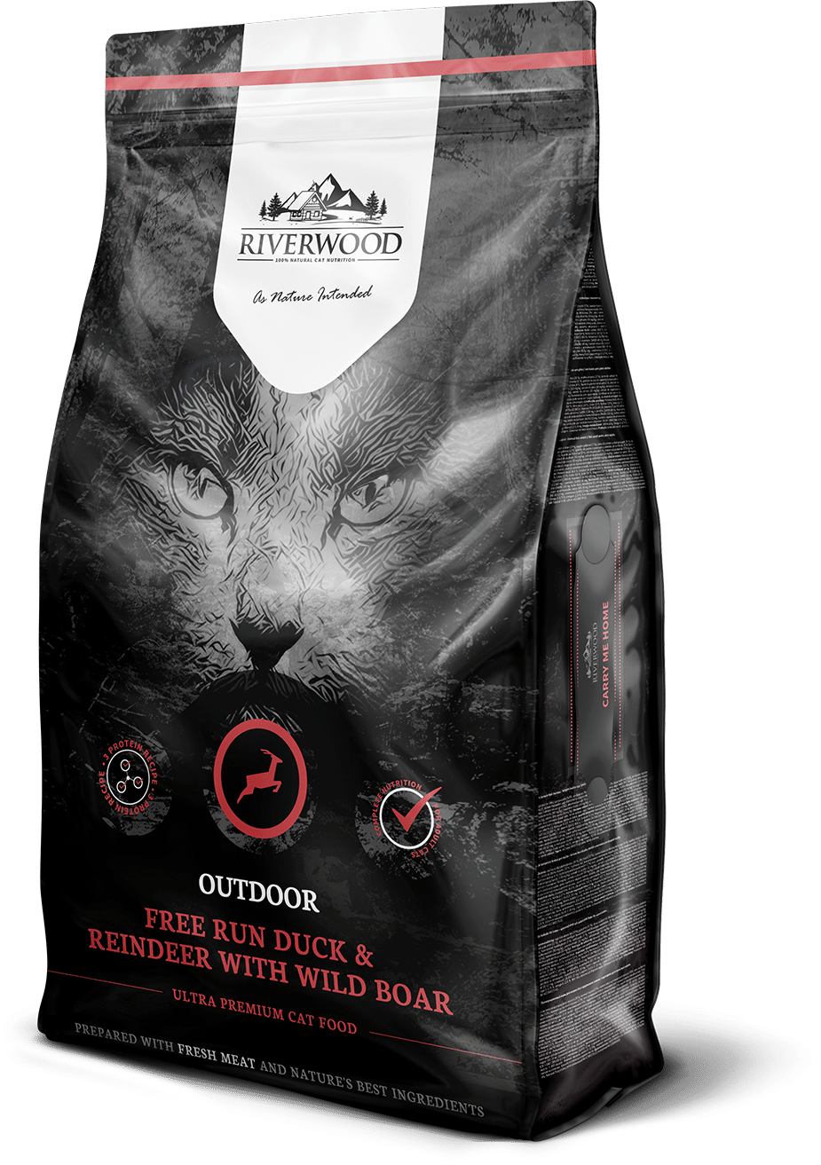 Riverwood Cat Outdoor