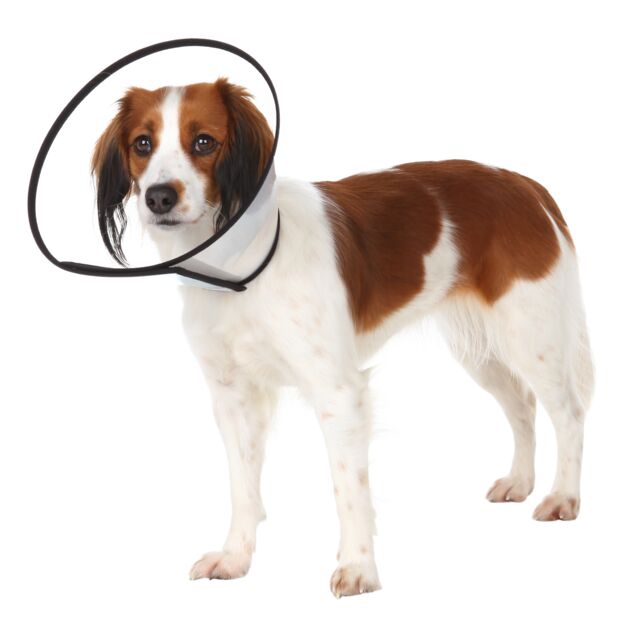 Trixie Beschermkap Klittenband 18-23X8CM