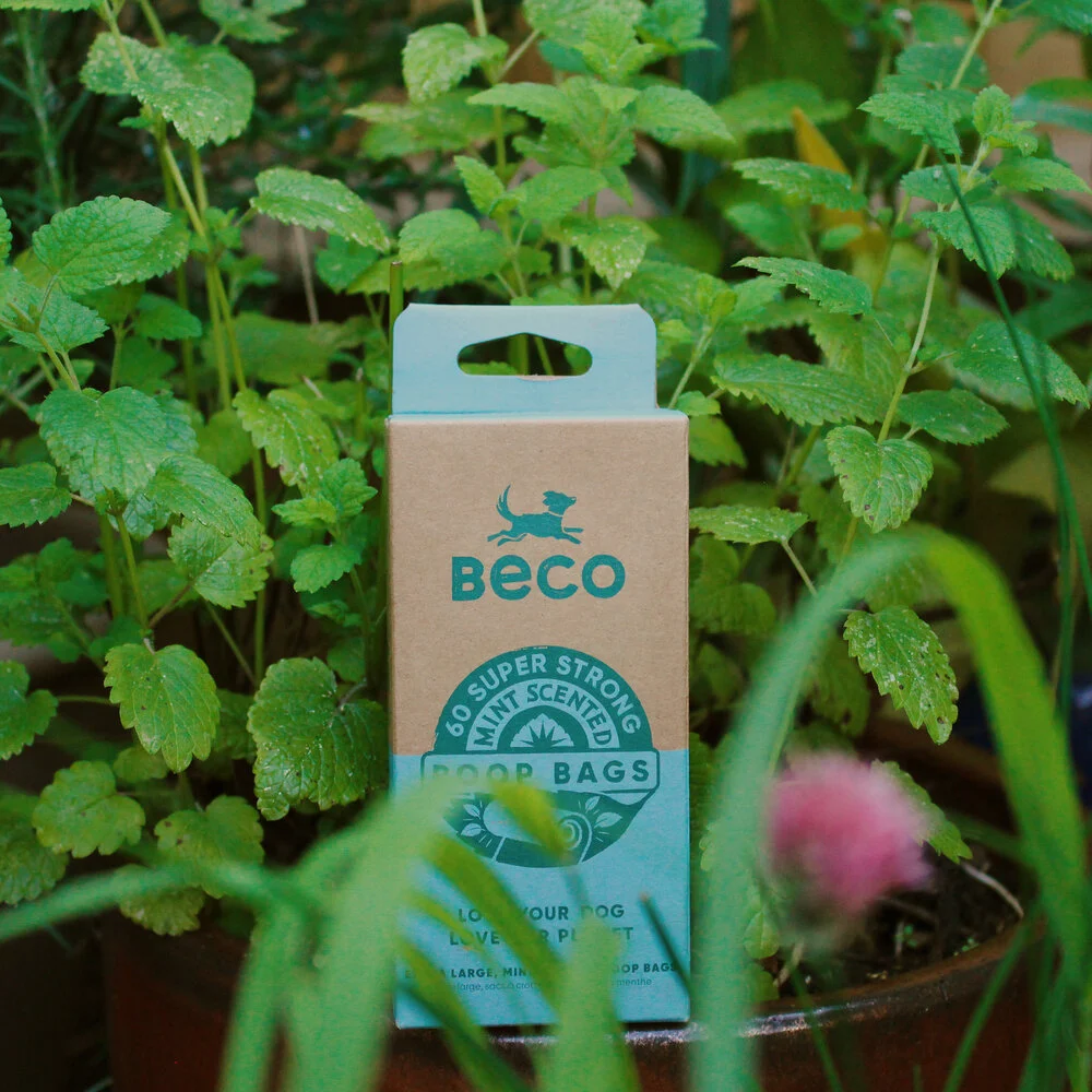 Beco Bags Mint Mulit Pack 120 (8X15)
