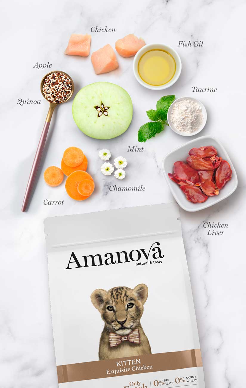 Amanova Kitten Exquisite Chicken