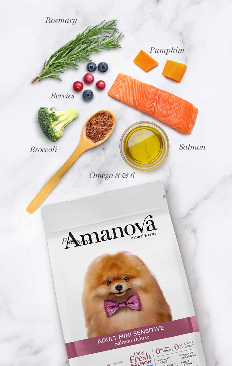 Amanova Adult Mini Sensitive Salmon De Luxe