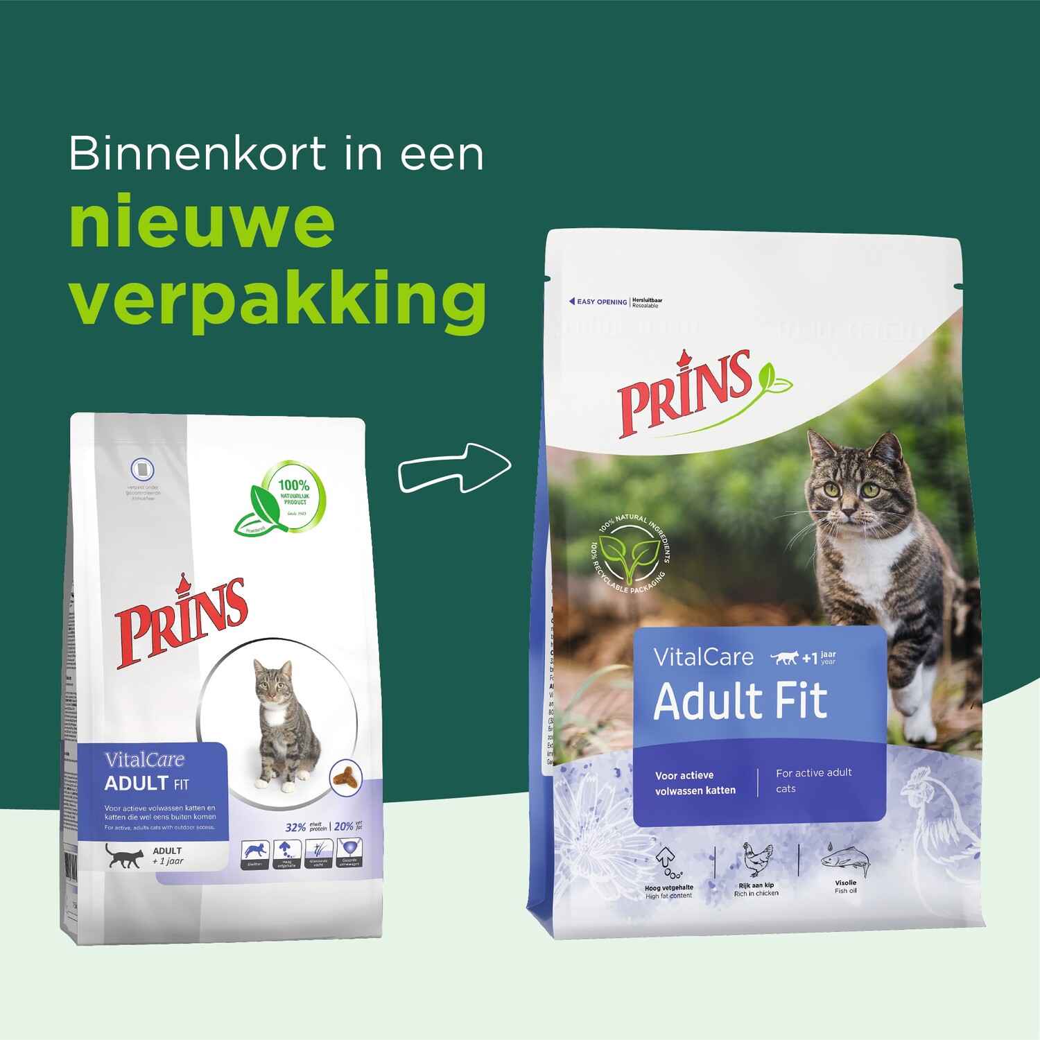 Prins Vitalcare Adult Fit - Voor Volwassen Katten