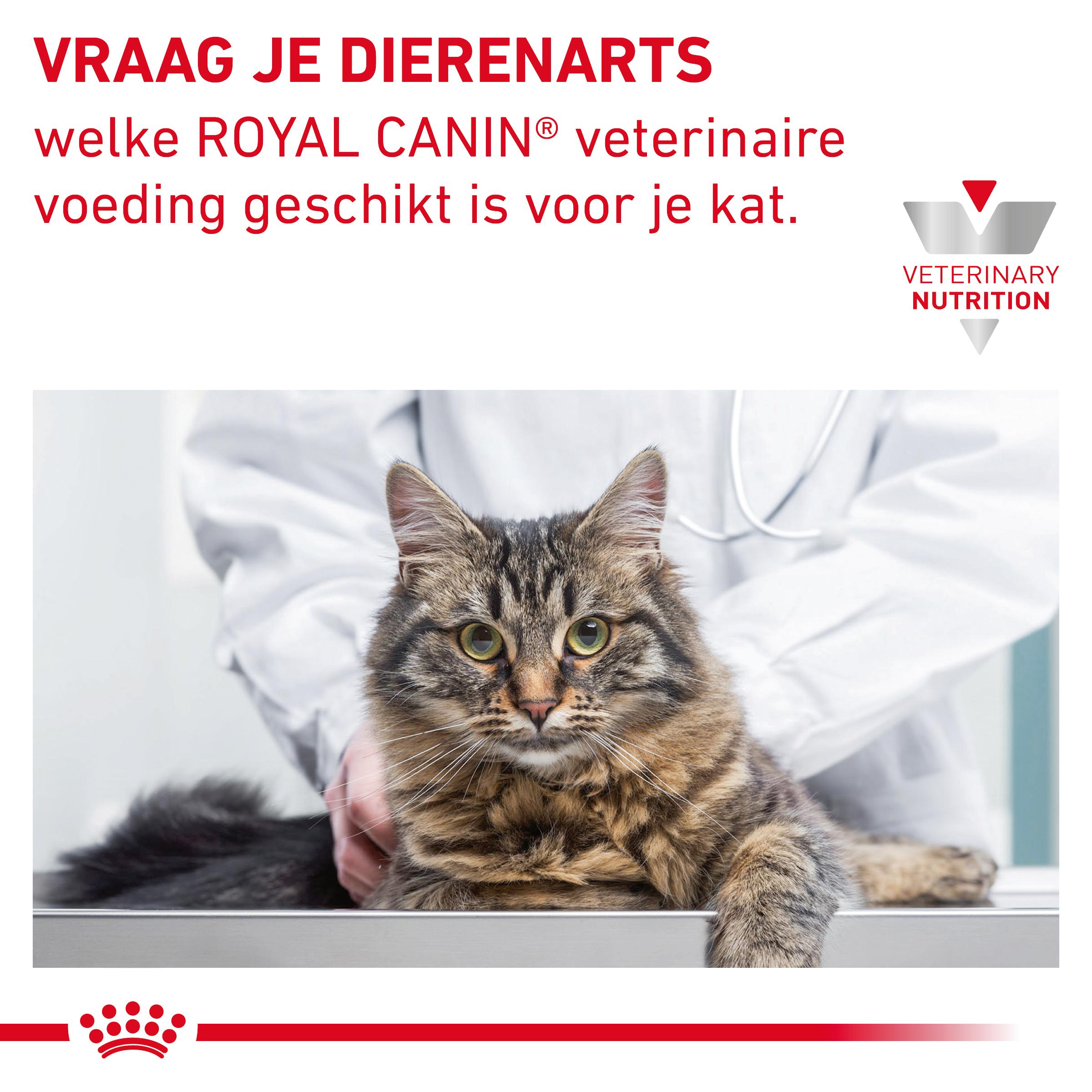 Royal Canin Veterinary Cat Gastrointestinal