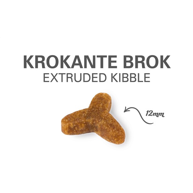 Prins Vitalcare Adult Fit - Voor Volwassen Katten