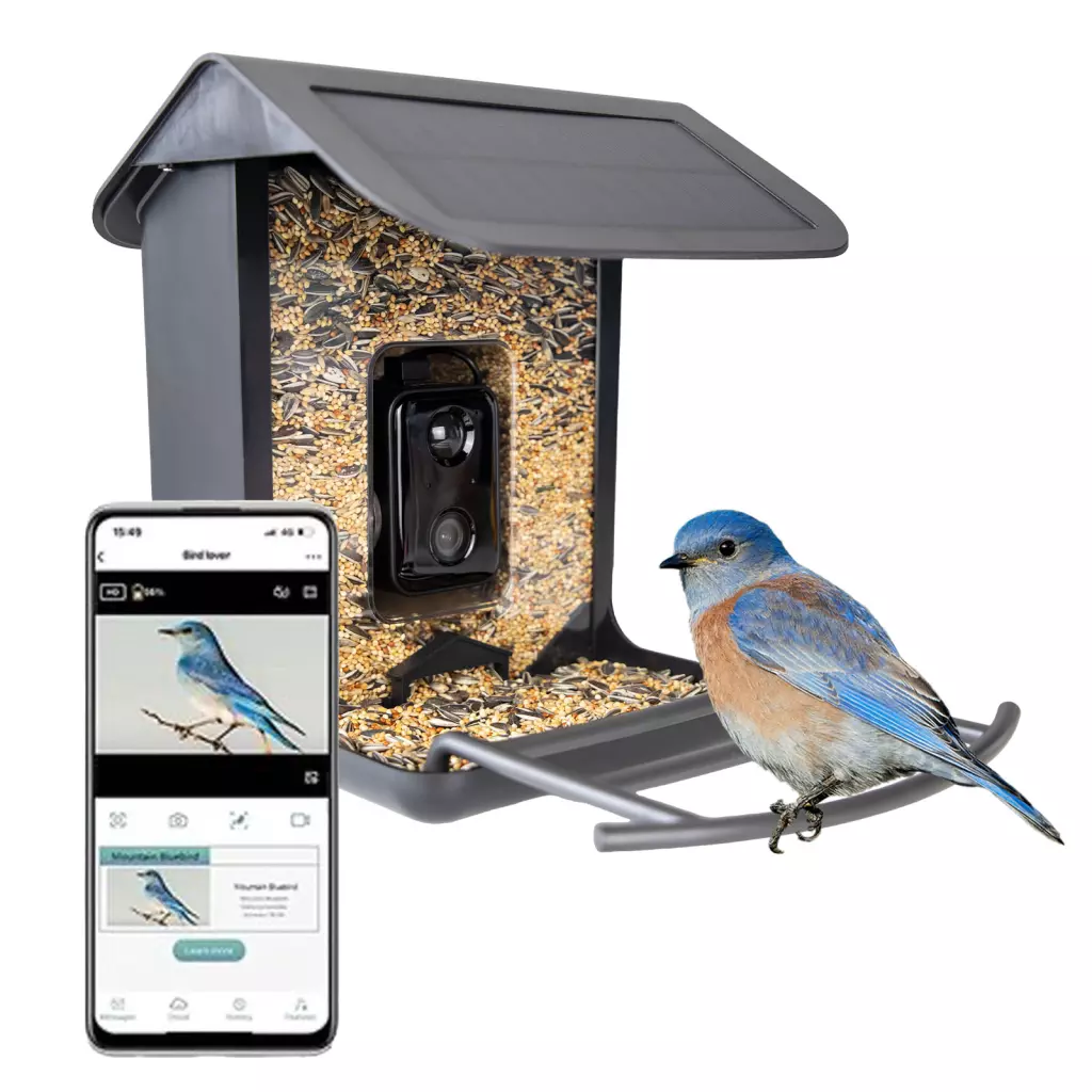 Birds First AI Bird Feeder met Camera 1080P – Slim Vogelvoederhuis met AI Vogelherkenning