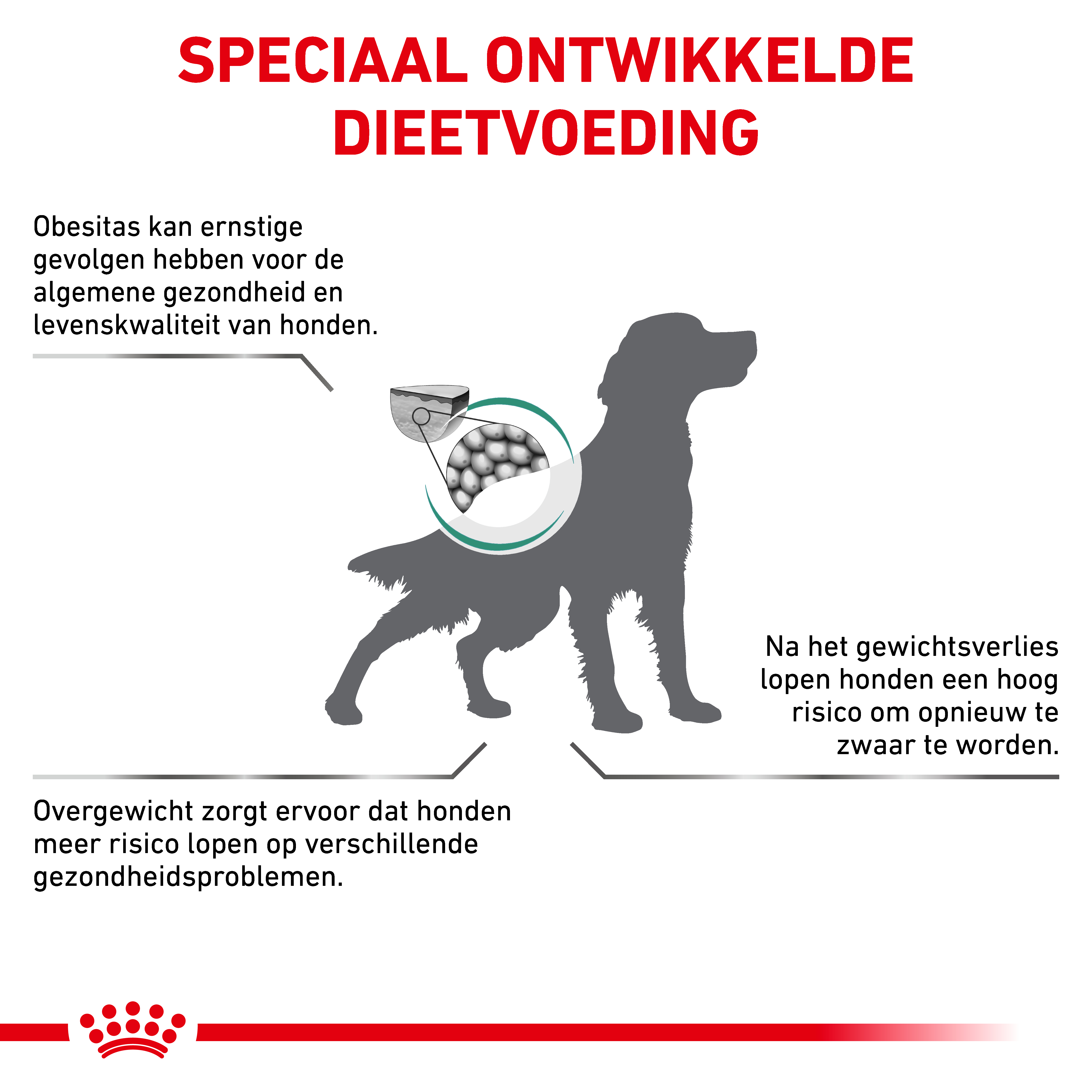 Royal Canin Veterinary Dog Satiety Weight Management