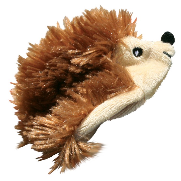 Catnip Egel