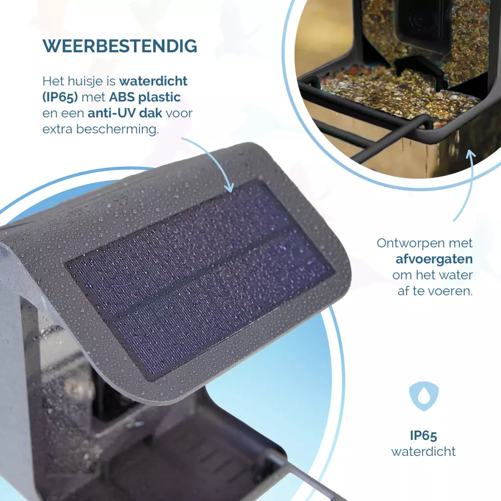 Birds First AI Bird Feeder met Camera 1080P – Slim Vogelvoederhuis met AI Vogelherkenning
