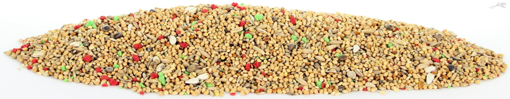 Tijssen Parkietenzaad 1KG
