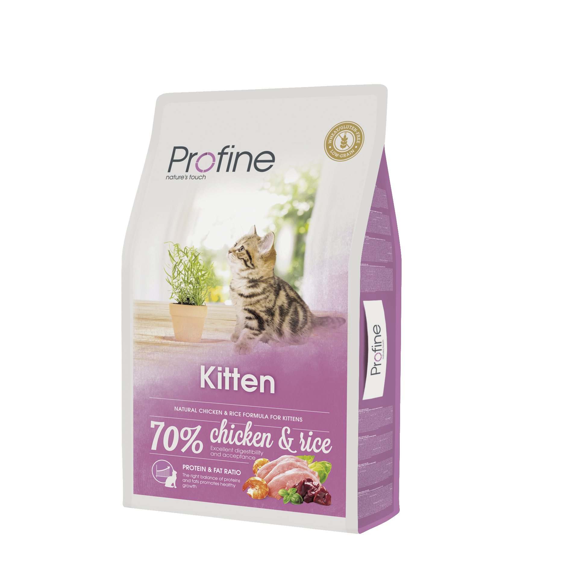 Profine Cat Kitten