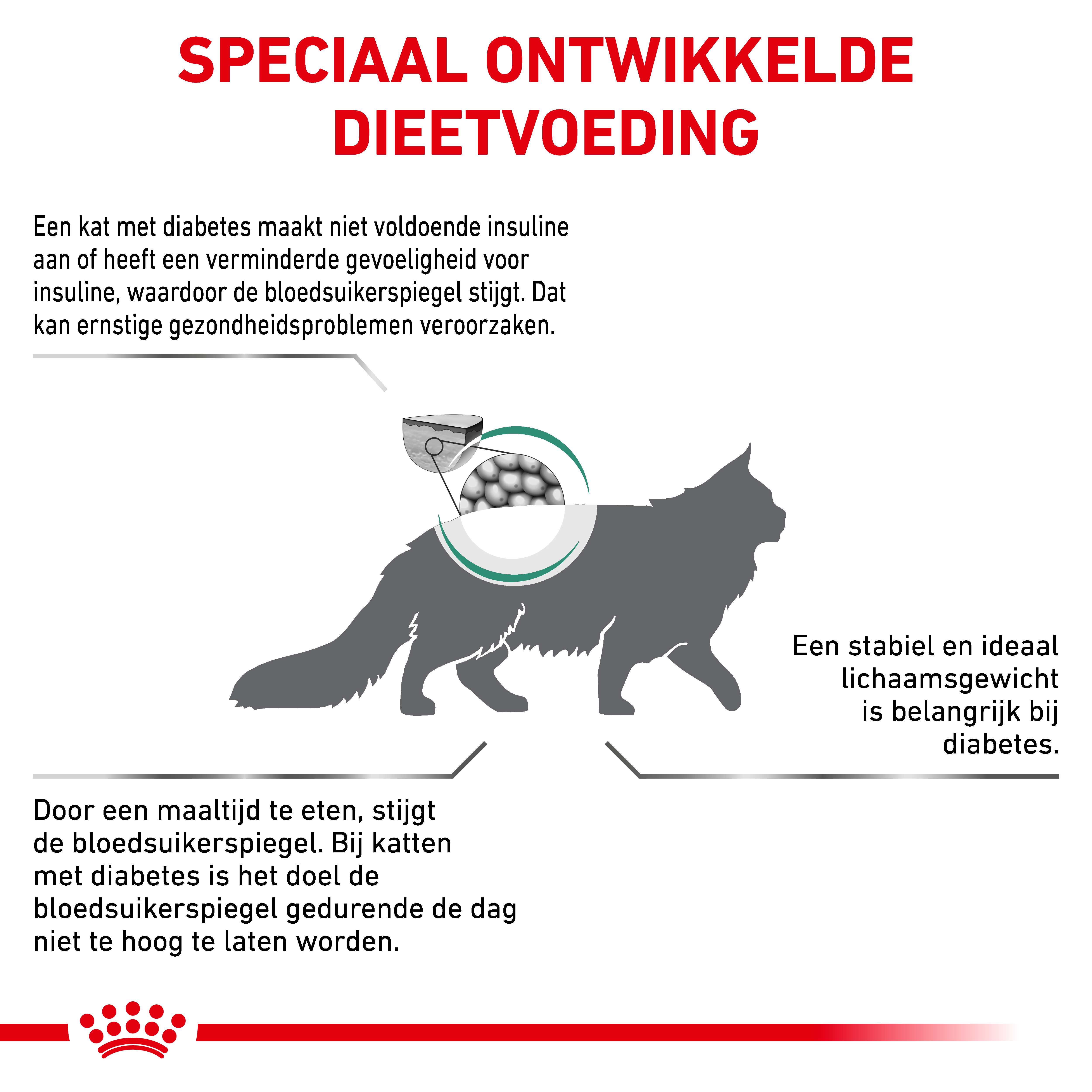 Royal Canin Veterinary Cat Diabetic