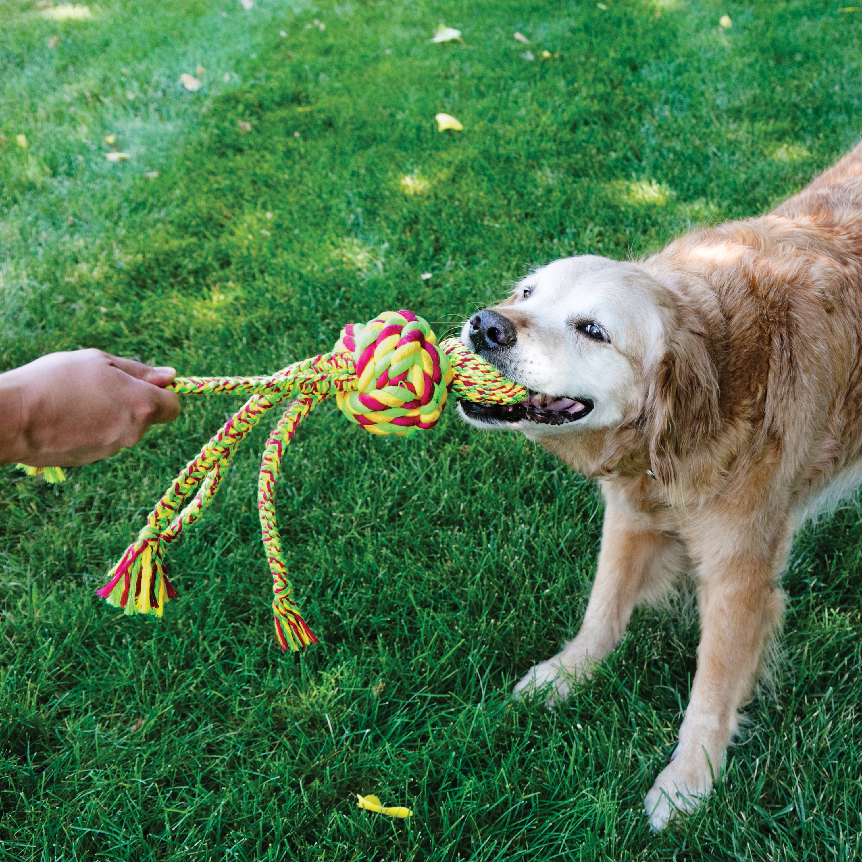 Weaves Rope Large Assortie 45 CM