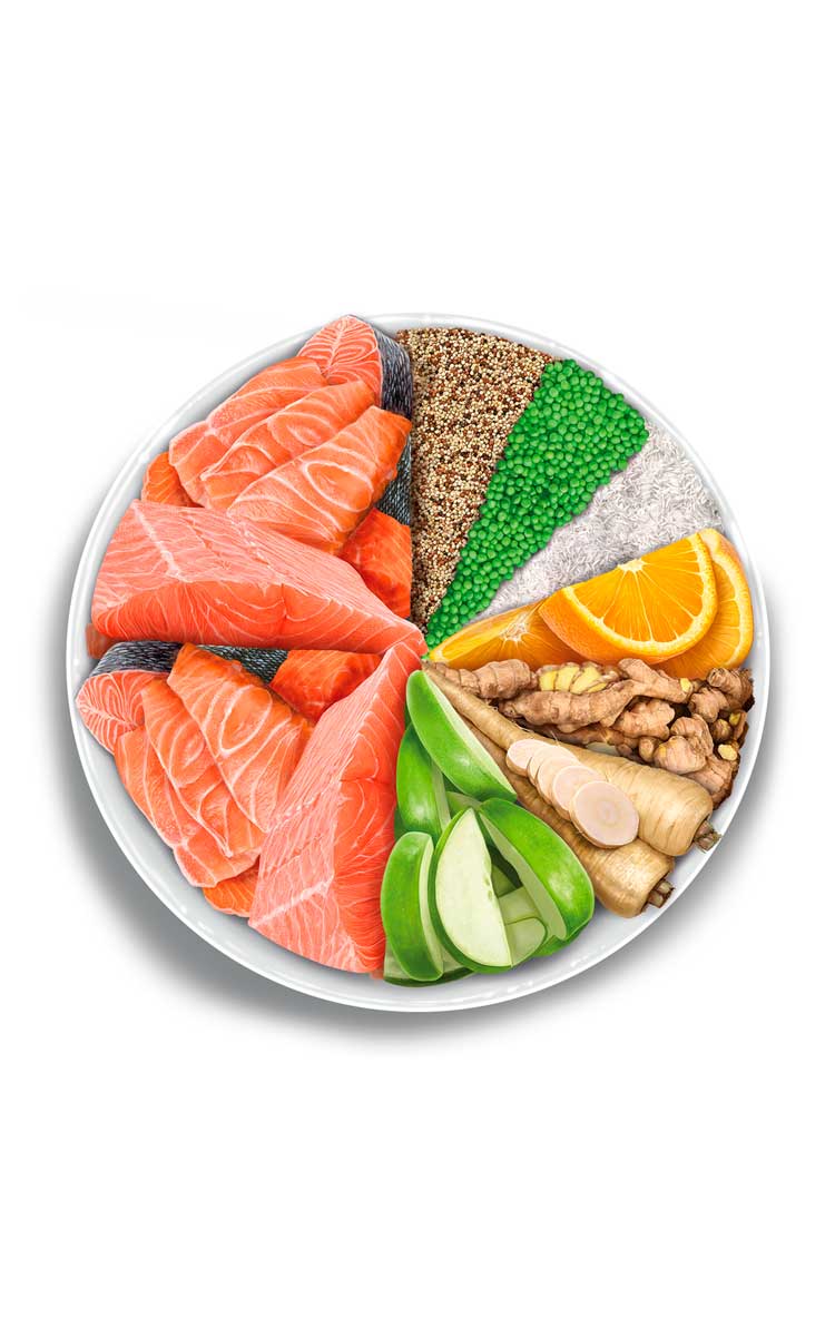Amanova Adult Cat Salmon Deluxe
