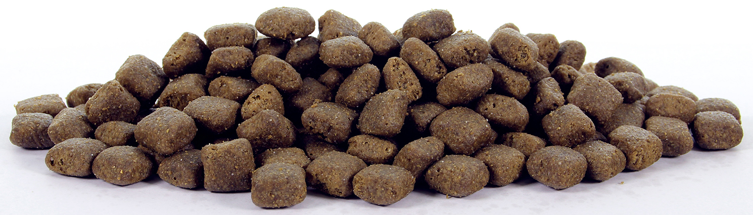 Natural Health Dog Fish & Rice