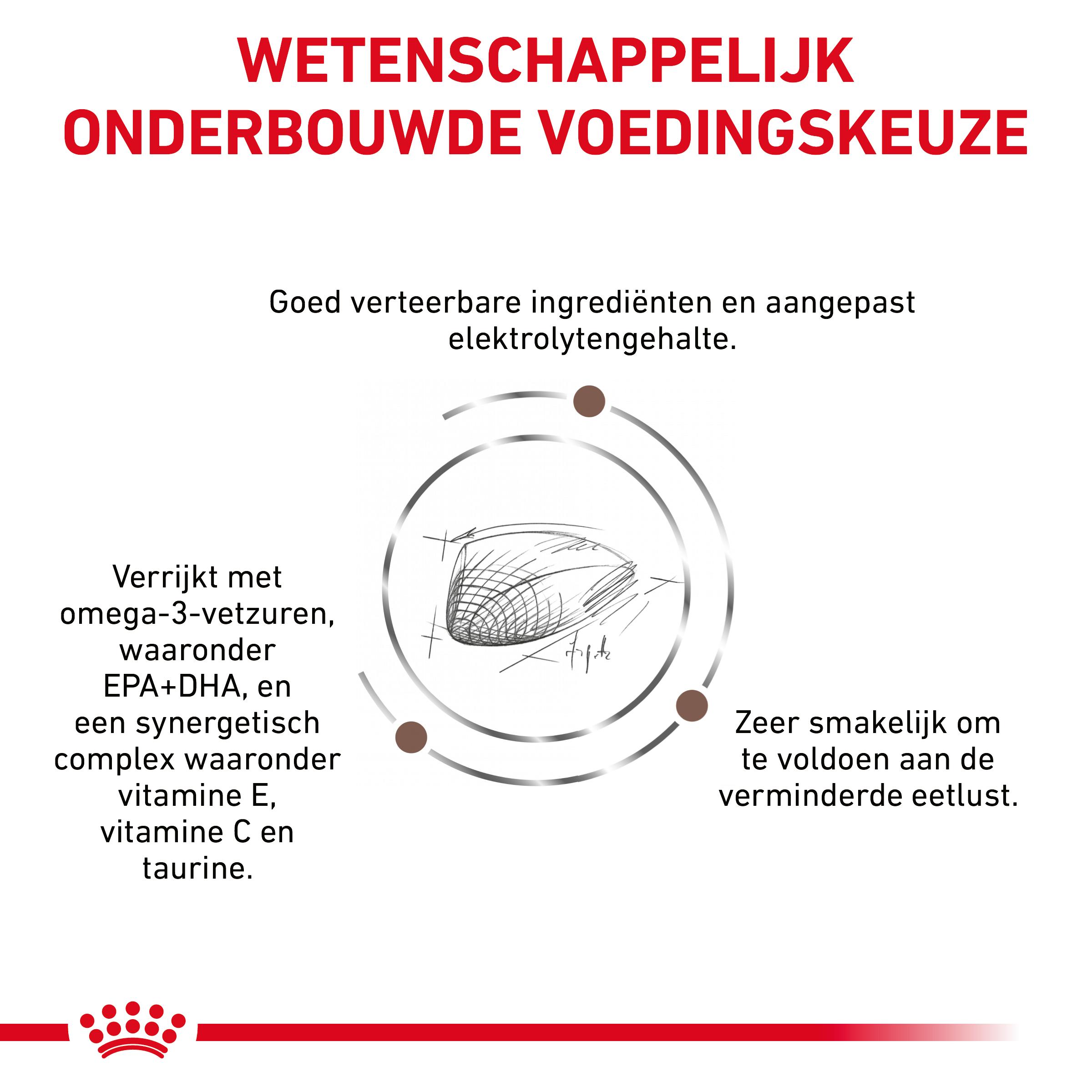 Royal Canin Veterinary Cat Gastrointestinal