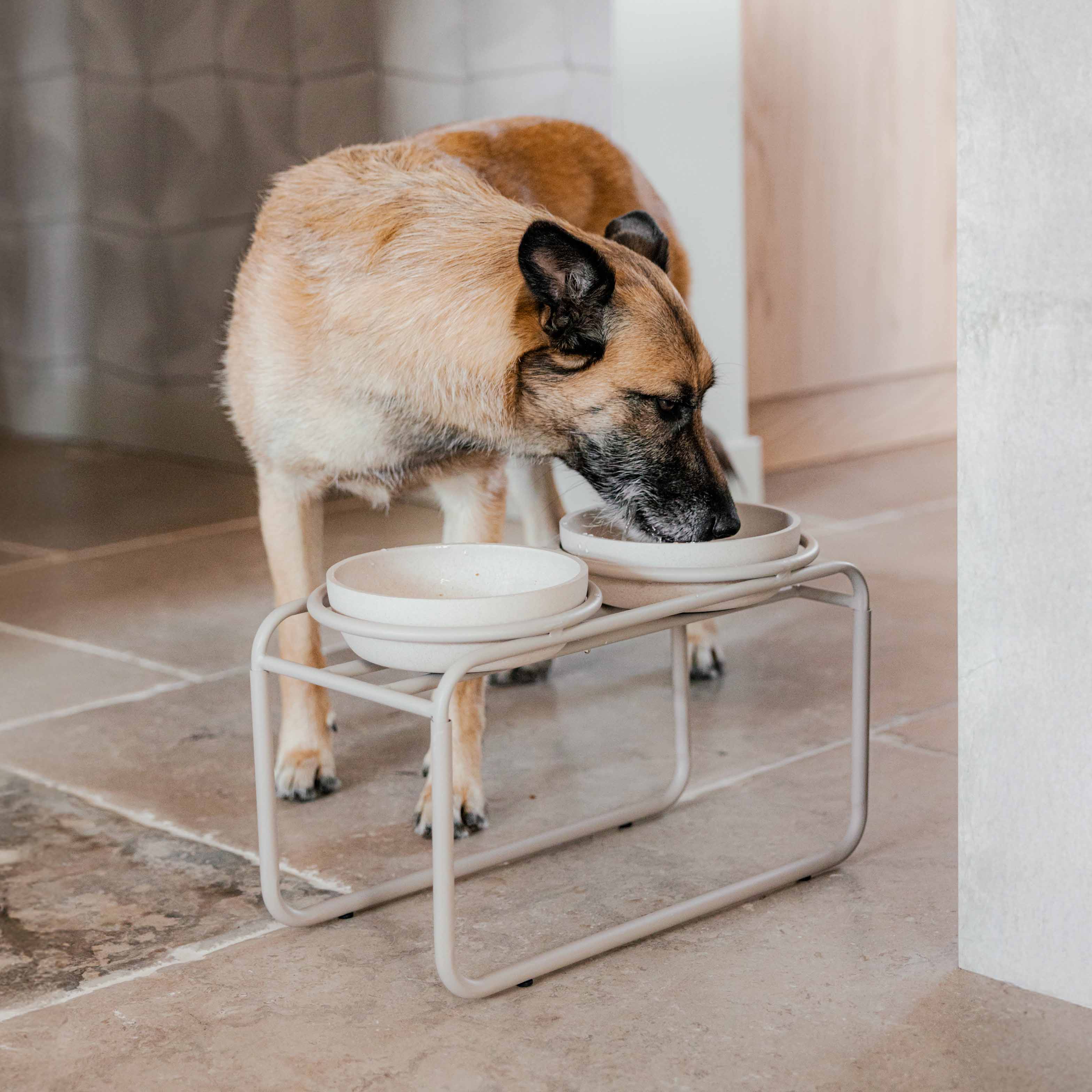 District 70 Voerbakstandaard Voor Honden Beige